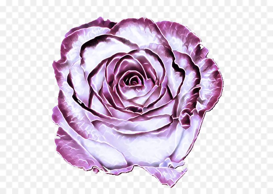 Violeta，As Rosas Do Jardim PNG