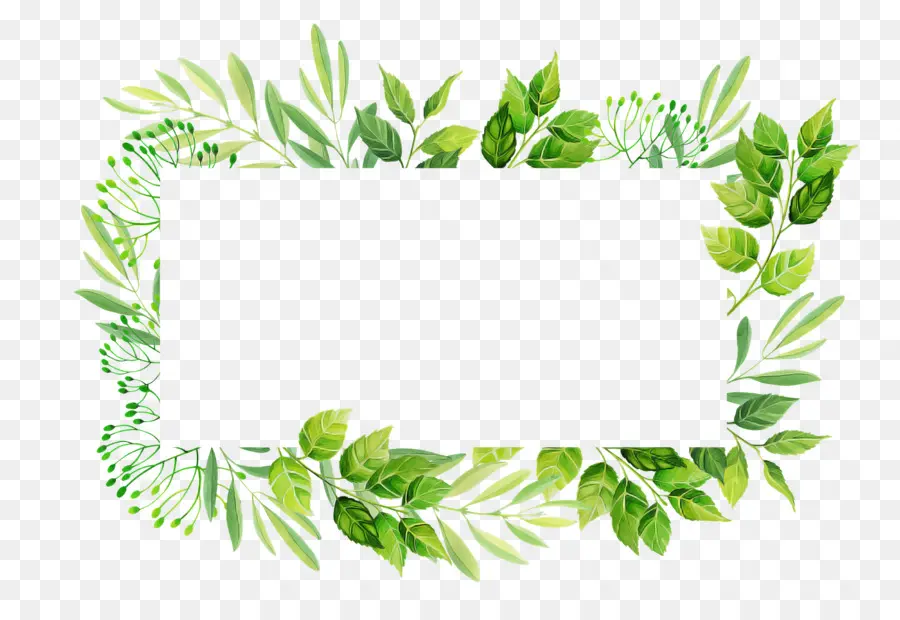 Planta，Folha PNG