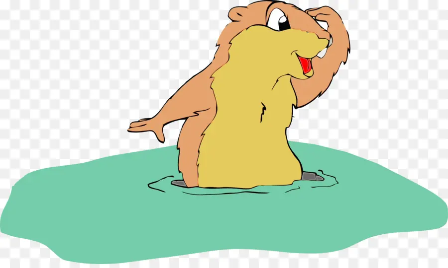 Cartoon，Marmota PNG