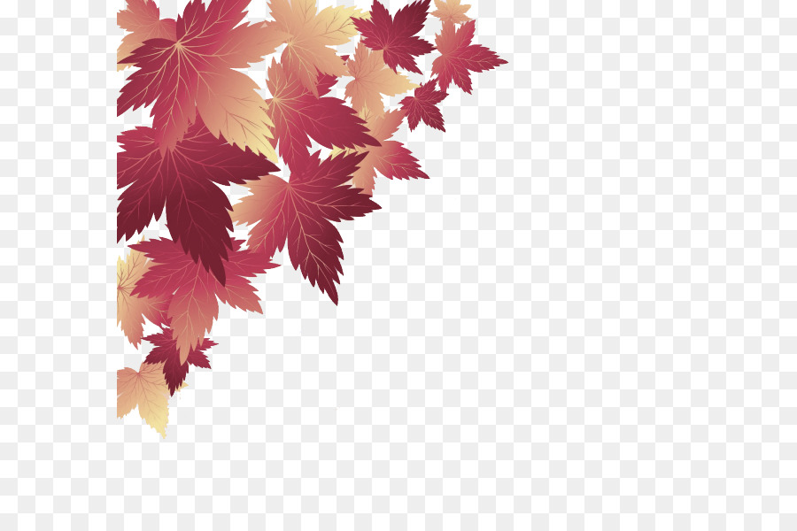 Folha，Maple Leaf PNG