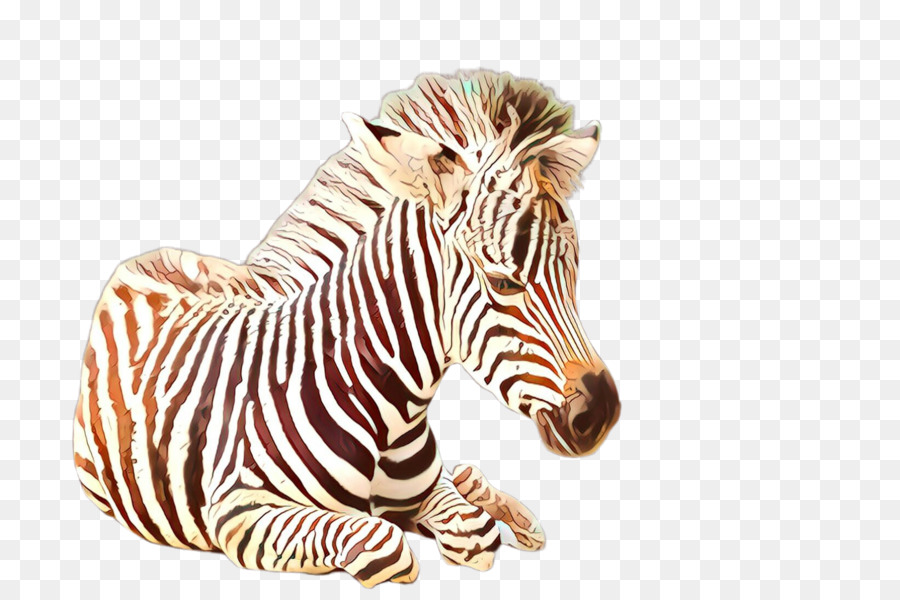 Zebra，Animal Figura PNG