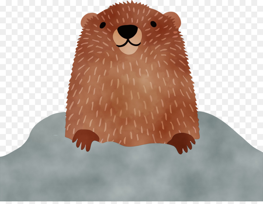 Marmota，Otter PNG