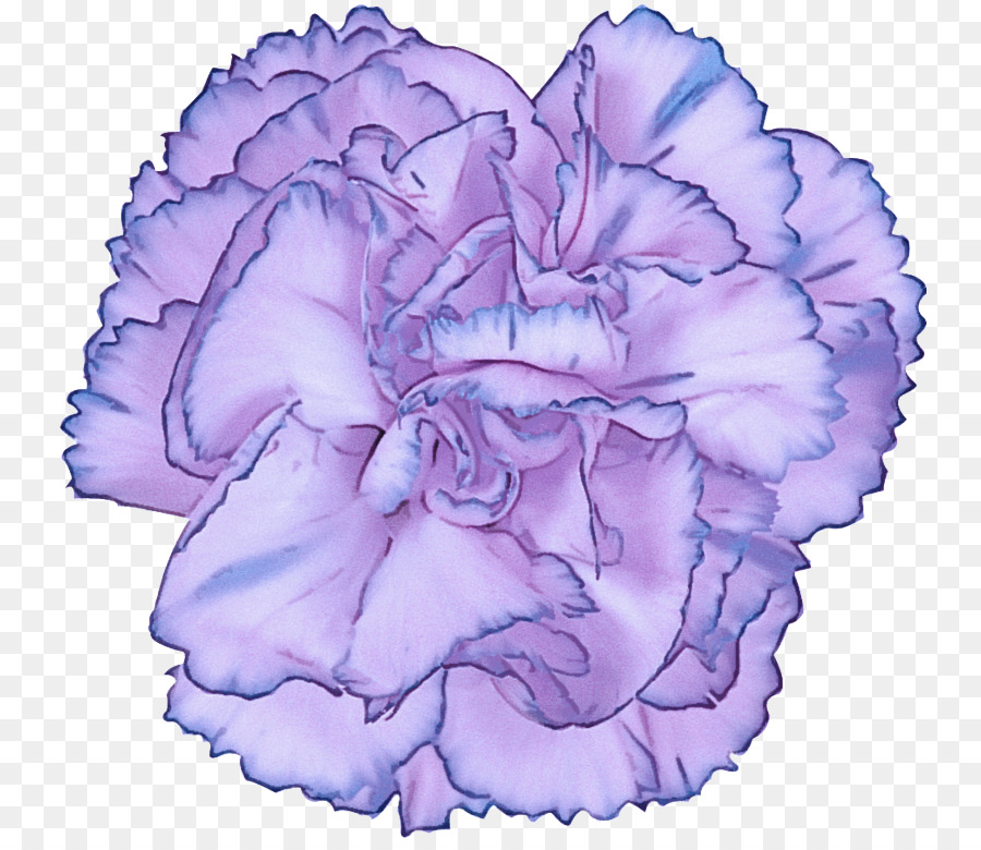 Violeta，Roxo PNG