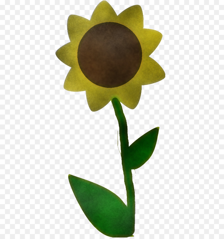 Flor，Amarelo PNG