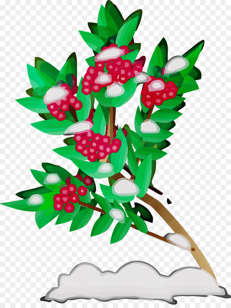 Holly，Planta PNG