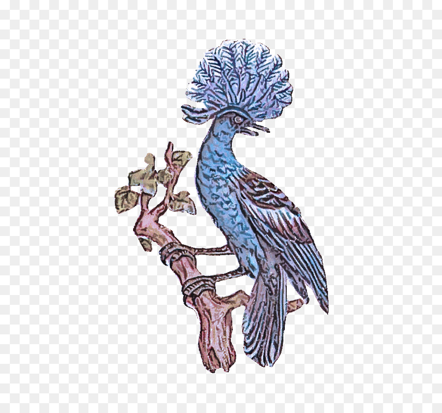 Aves，Azulão PNG
