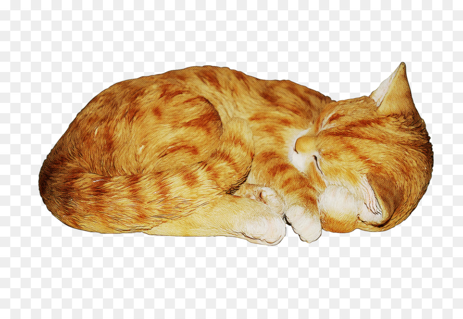 Gato Dormindo，Descansando PNG