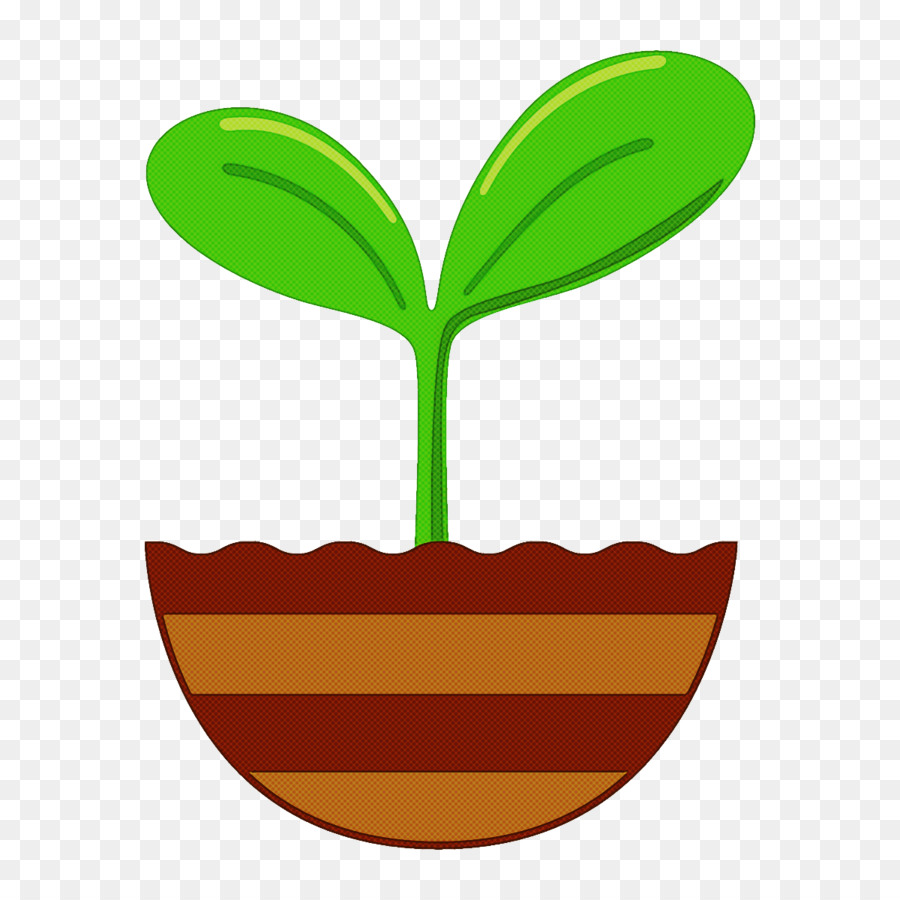 Plantar，Folhas PNG