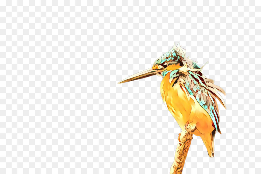 Aves，Amarelo PNG