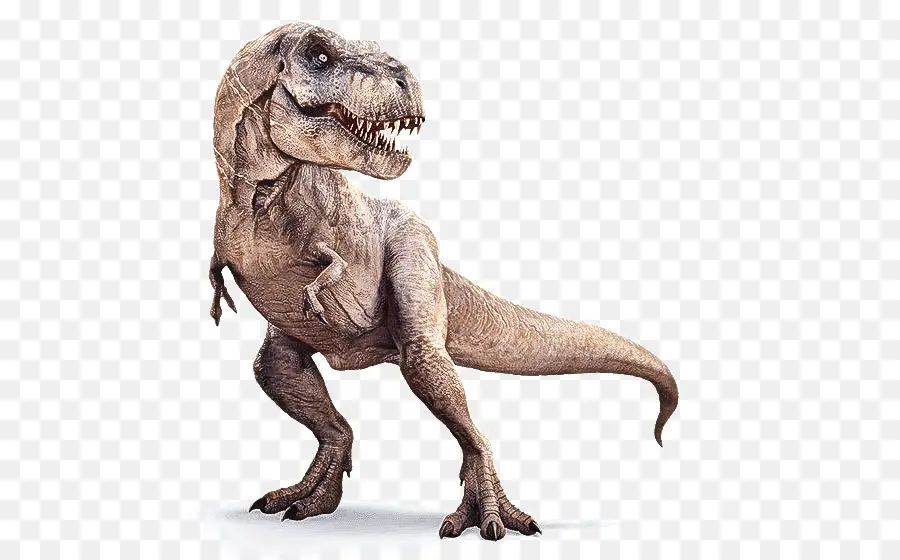 Dinossauro，Tiranossauro PNG