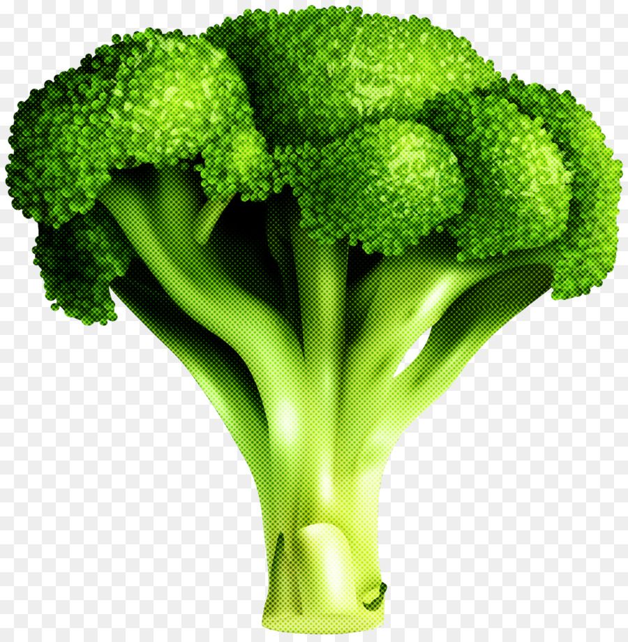 Brócolis，Vegetal PNG