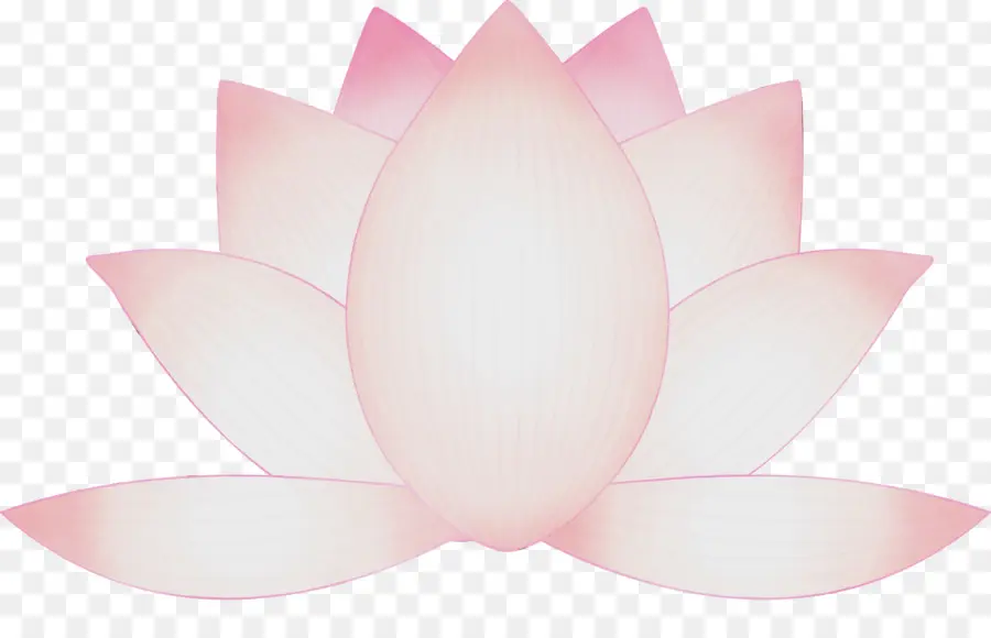 Lotus Família，Cor De Rosa PNG