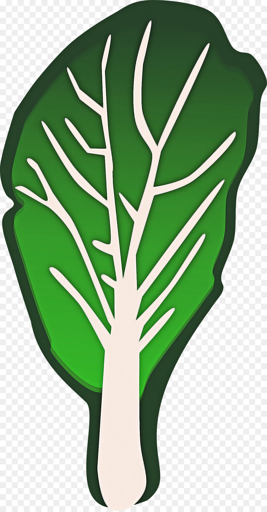 Verde，Folha PNG