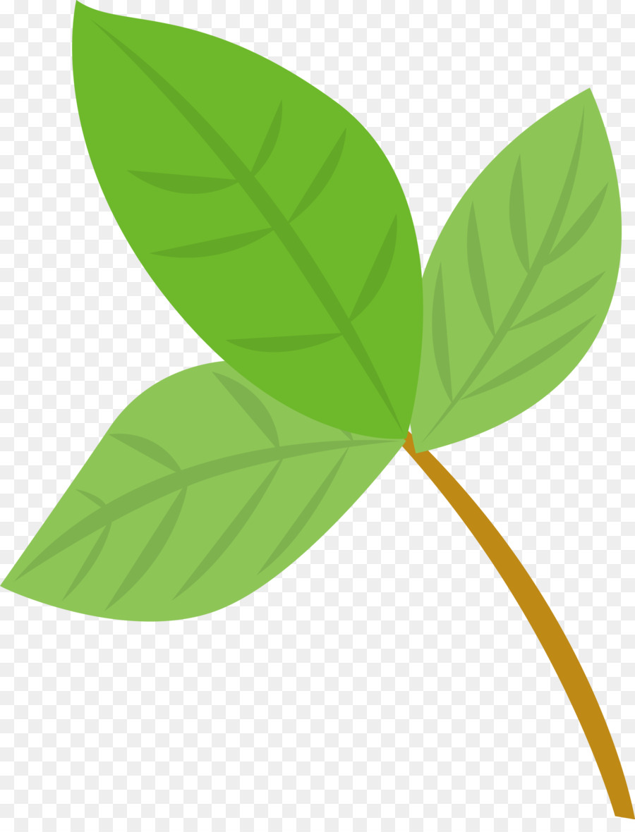 Folhas Verdes，Plantar PNG