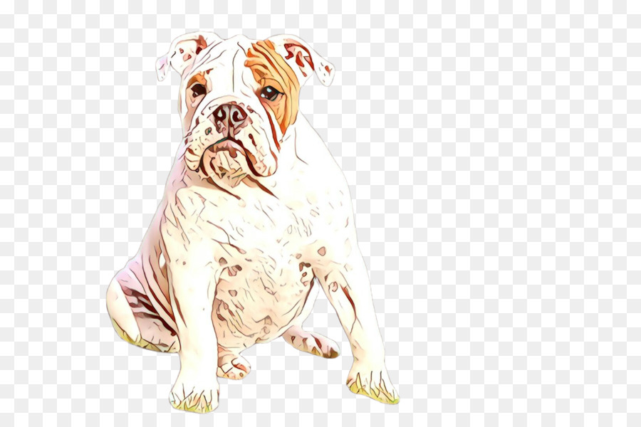 Buldogue，Bicho De Estimação PNG