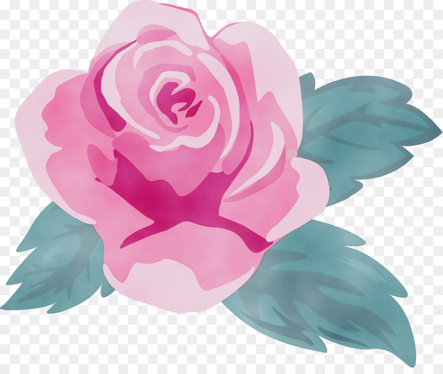 Rosas，Florescer PNG