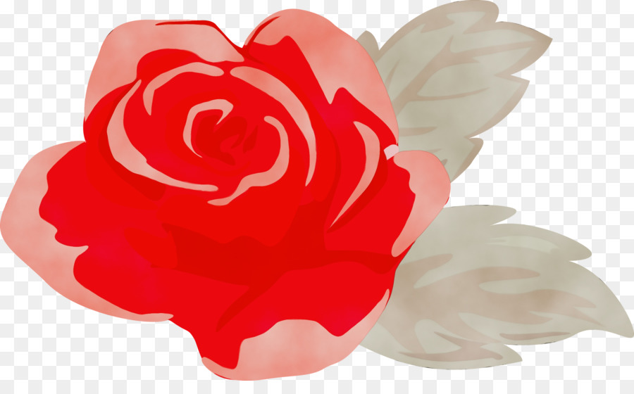 Rosas Vermelhas，Florescer PNG