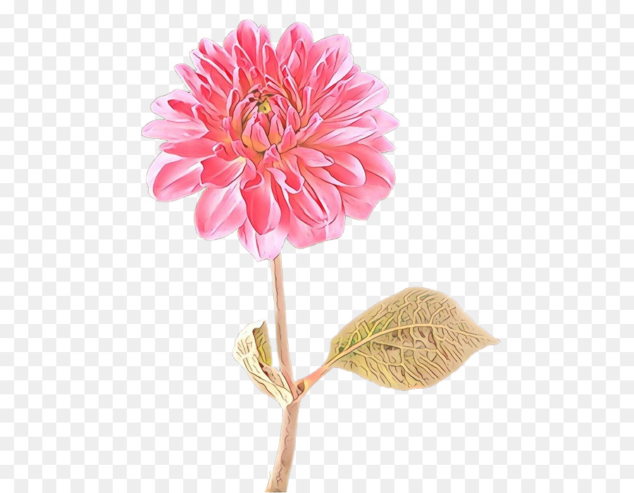 Flor，Cor De Rosa PNG