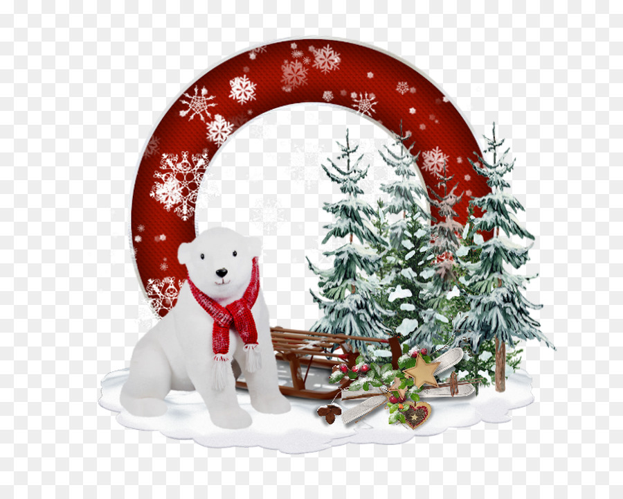 Placa，Urso Polar PNG