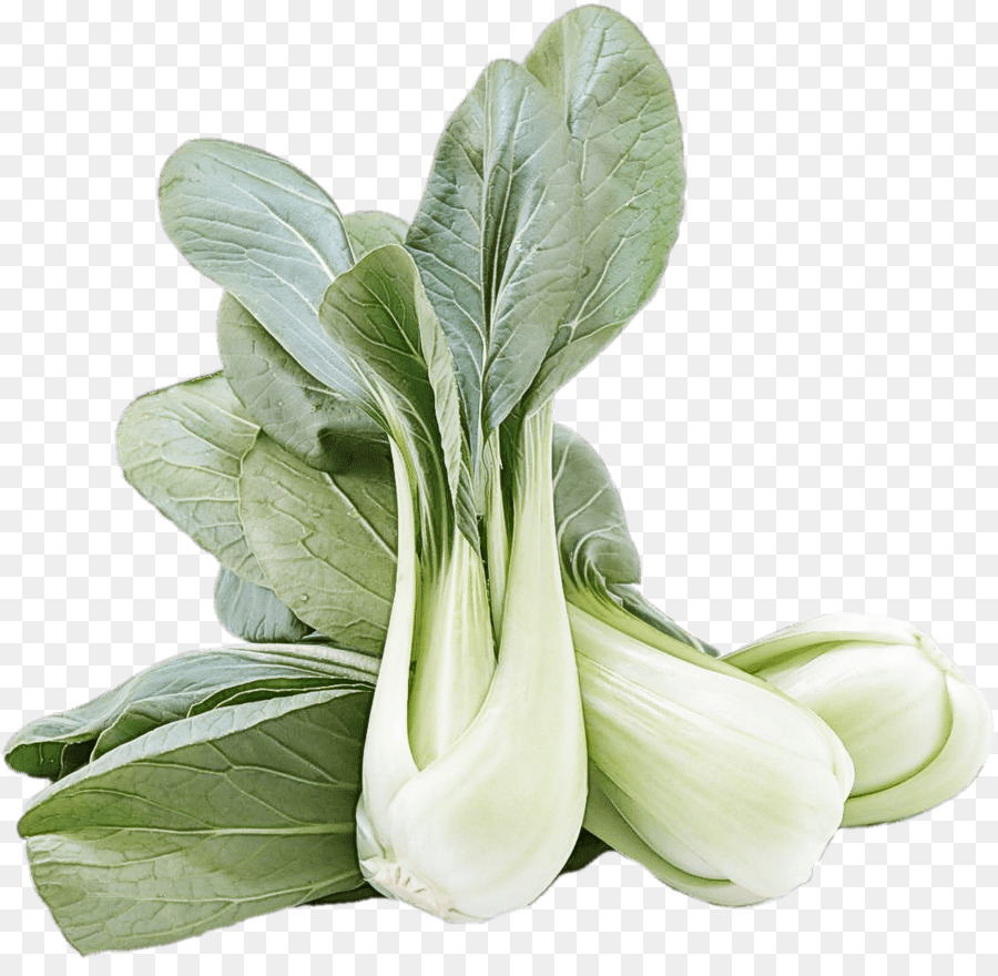 Bok Choy，Verde PNG