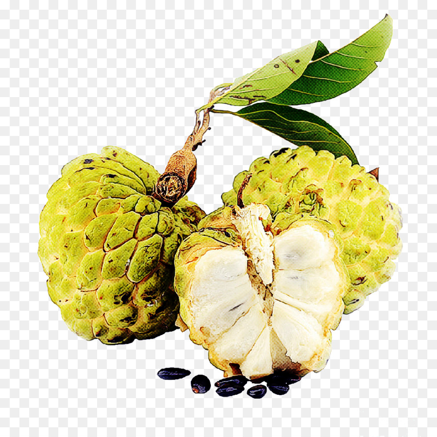 Sugarapple，Custardapple PNG