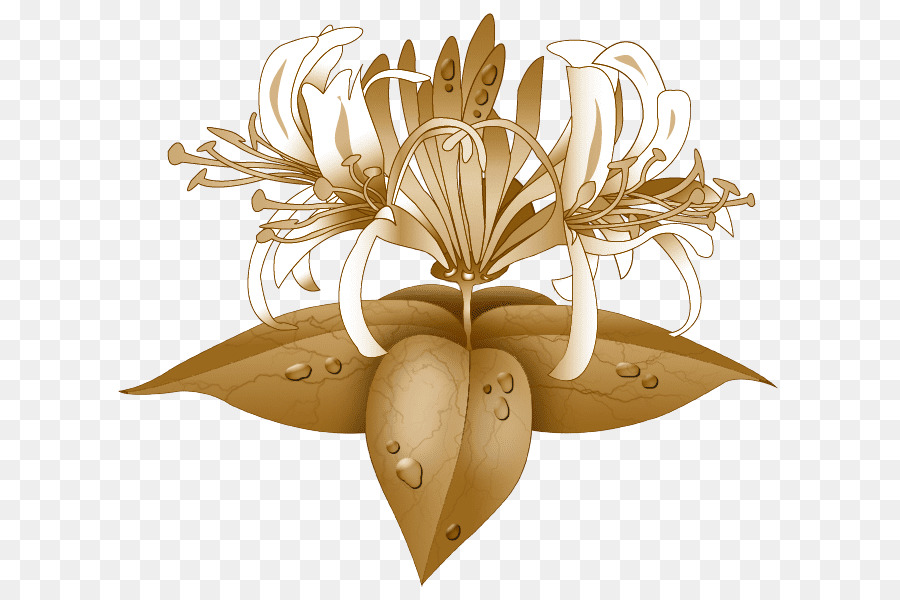 Flor，Florescer PNG