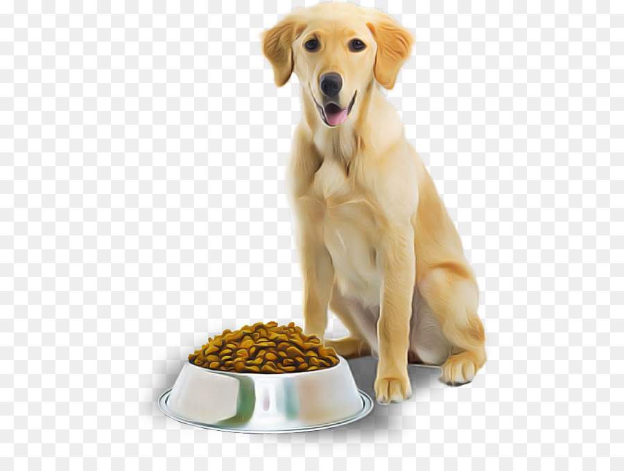 Cachorro，Comida De Cachorro PNG