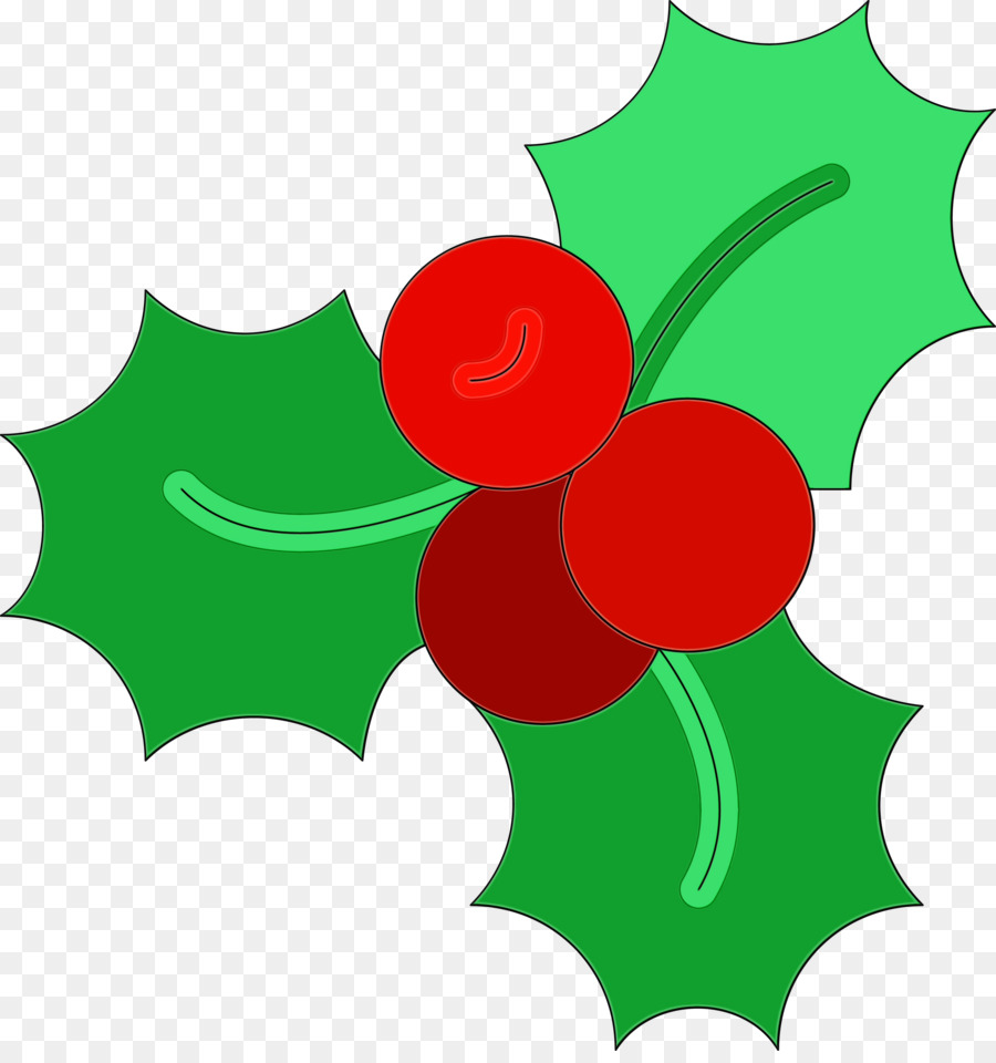 Verde，Holly PNG