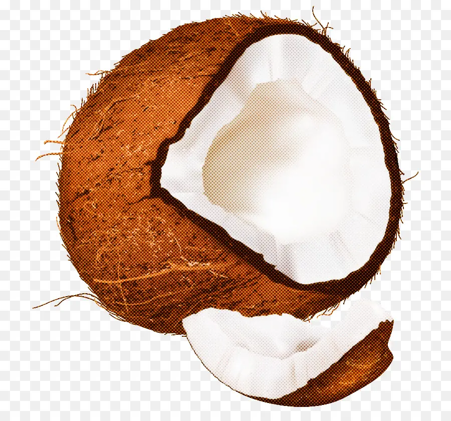 Coco，Concha PNG