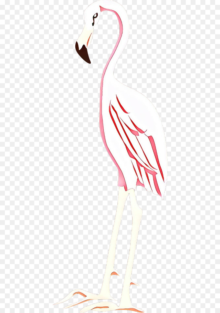 Flamingo，Pássaro PNG