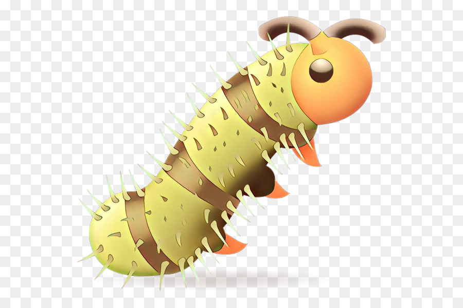 Caterpillar，Larva PNG