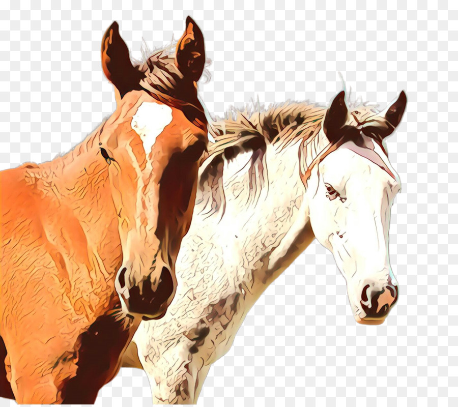 Cavalo，Sorrel PNG