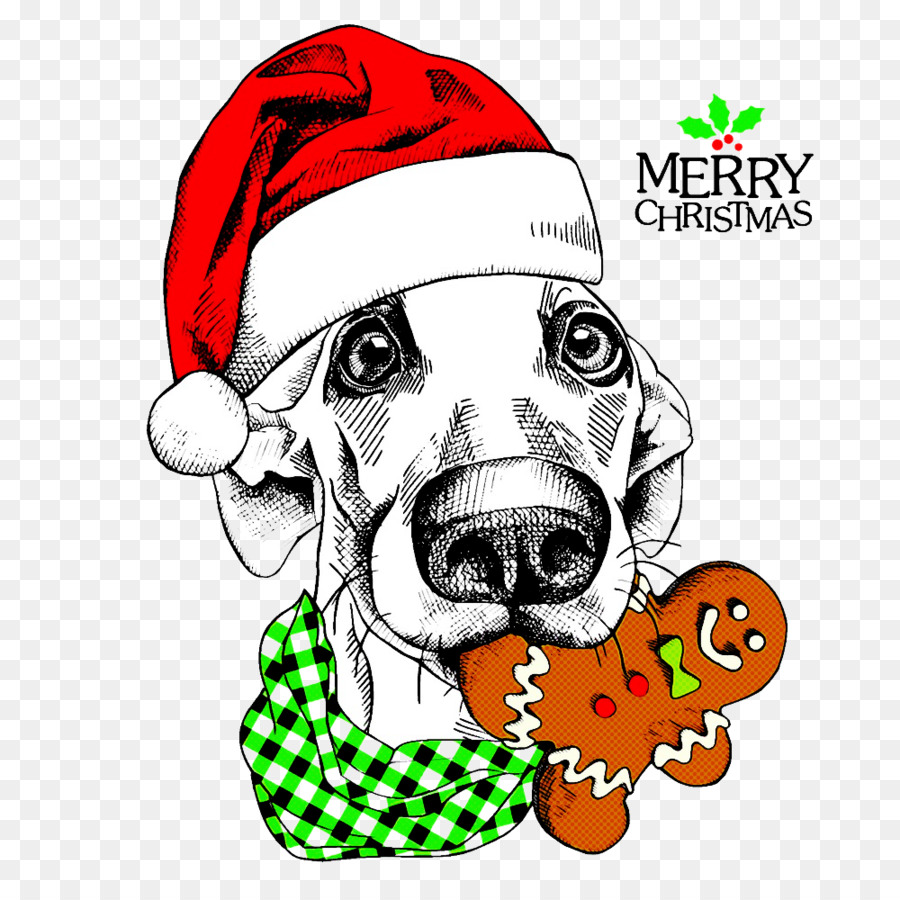 Cachorro Com Chapéu De Papai Noel，Natal PNG