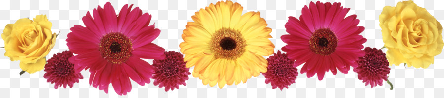 Flores，Vermelho PNG