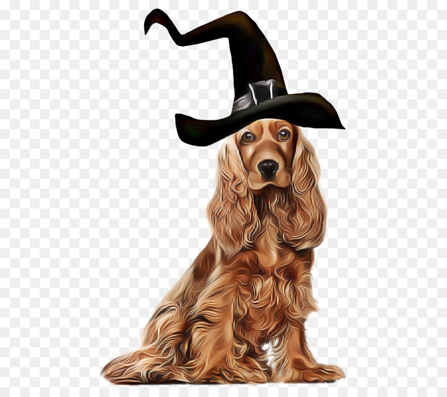 Cachorro，Cocker Spaniel PNG