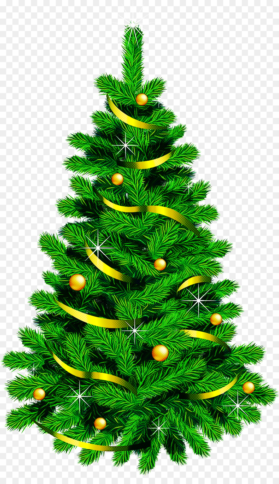 árvore De Natal，Abeto Preto De Folhas Curtas PNG