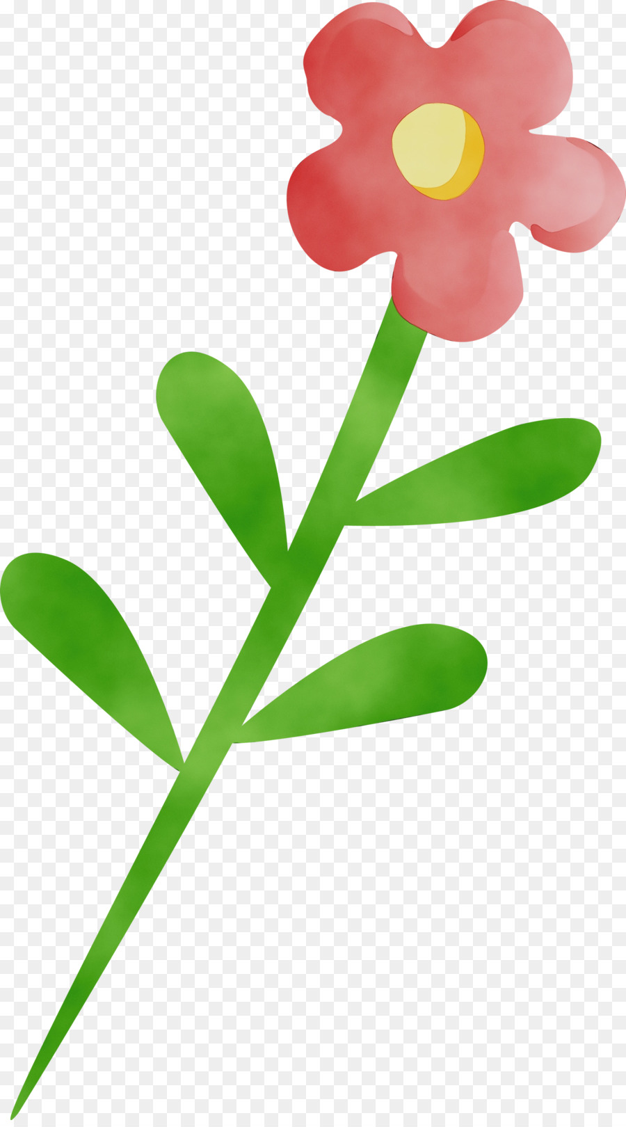 Flor，Planta PNG