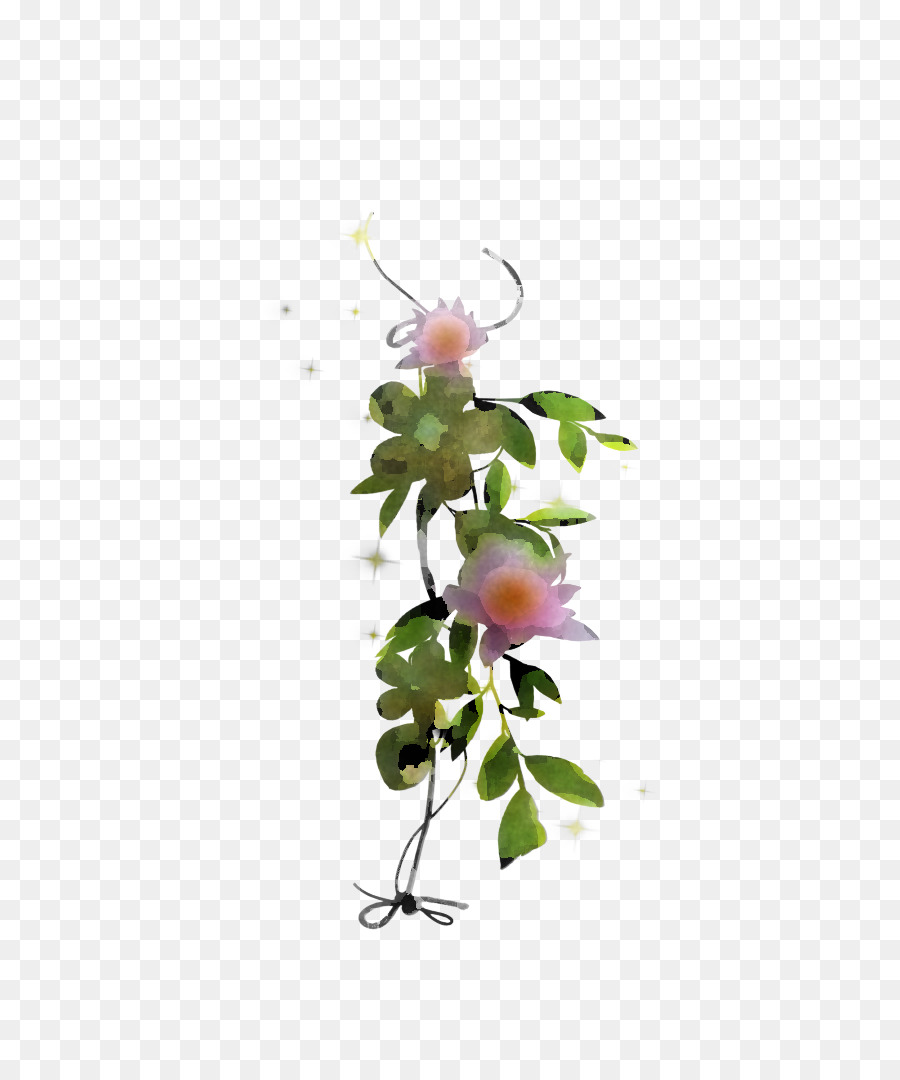 Flor，Planta PNG