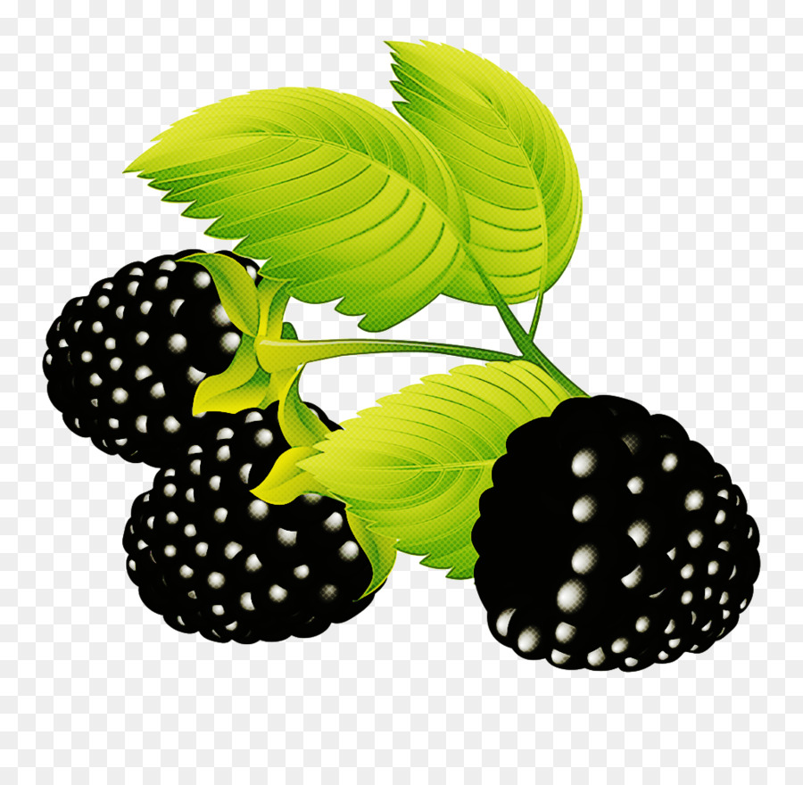 Blackberry，Berry PNG