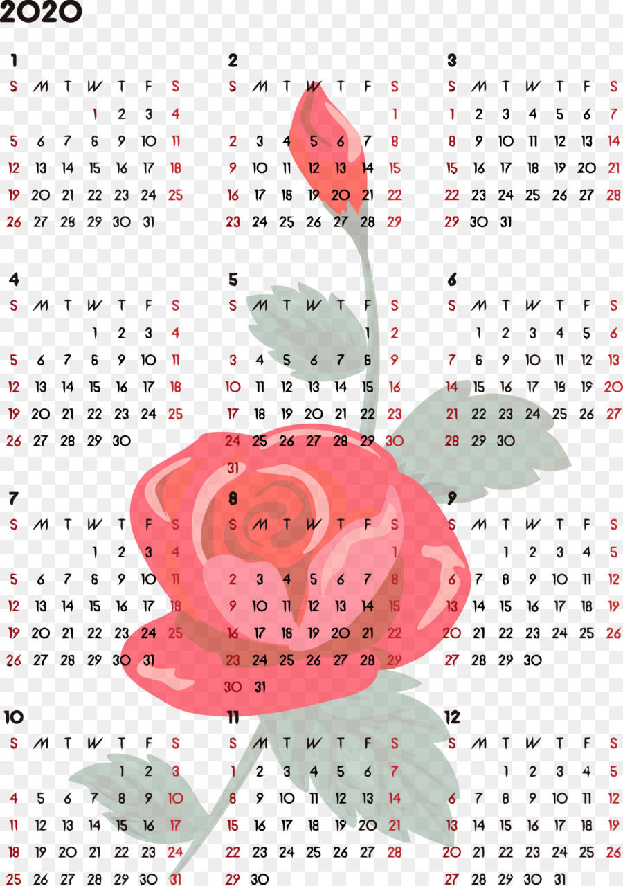 Calendário，Texto PNG