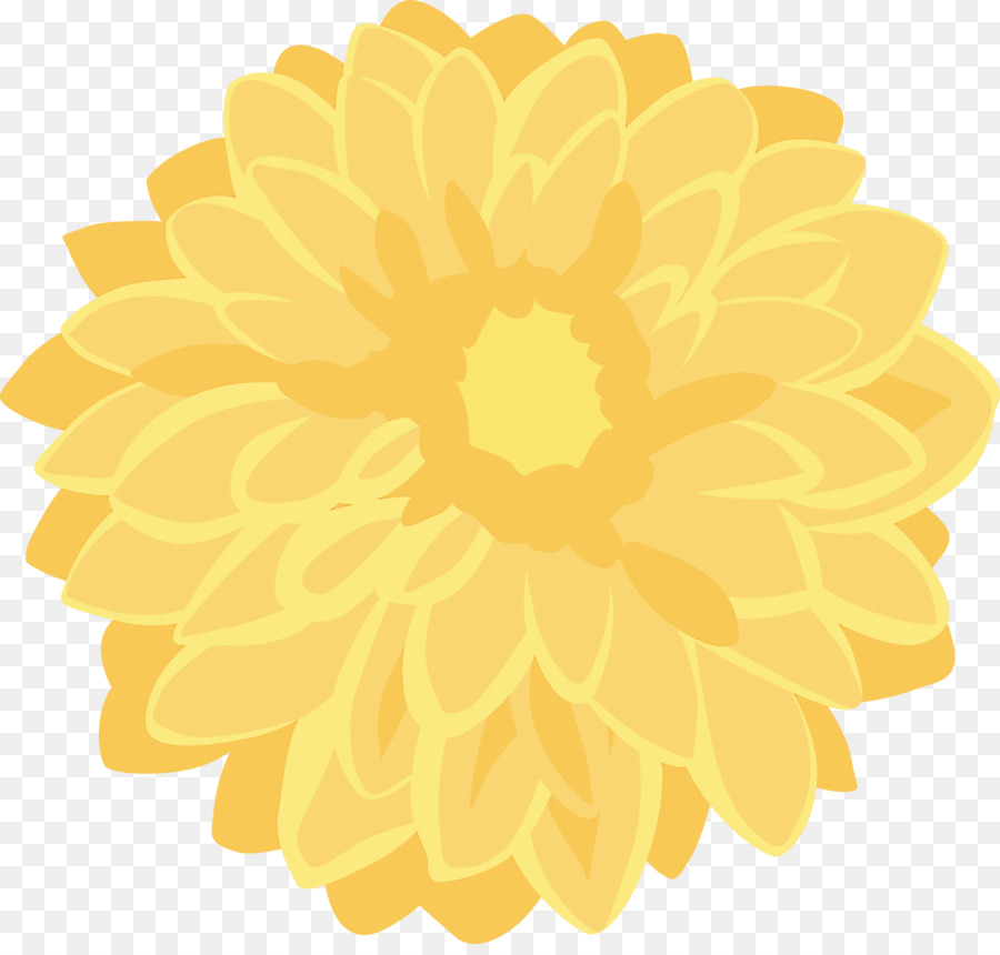 Flor Amarela，Florescer PNG