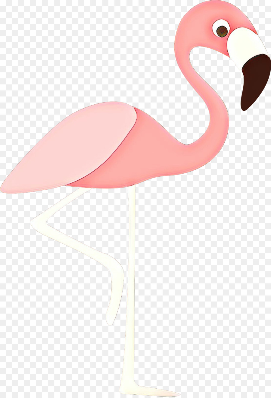 Flamingo Rosa，Pássaro PNG