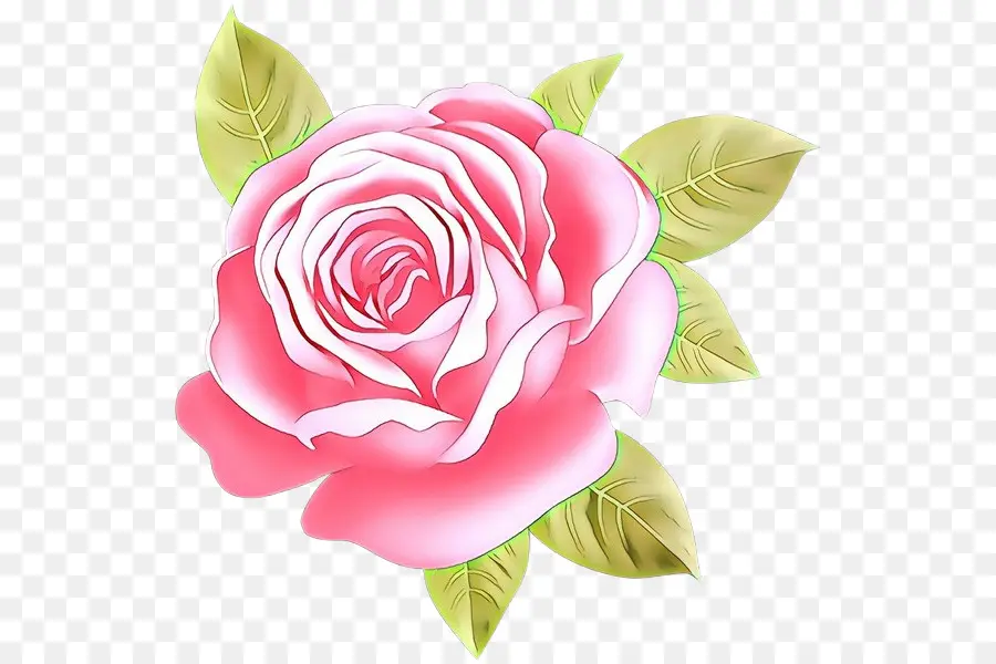 Cor De Rosa，As Rosas Do Jardim PNG
