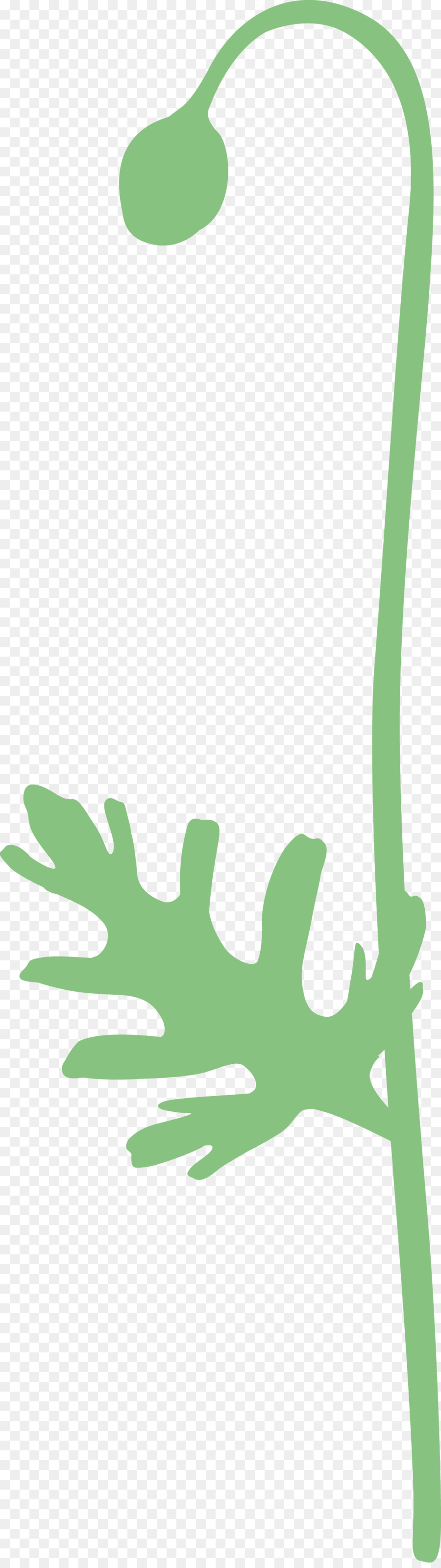 Verde，Dedo PNG