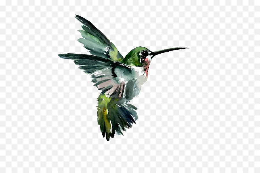 Colibri，Vôo PNG