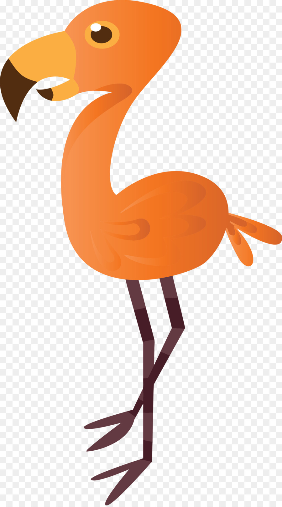 Aves，Laranja PNG