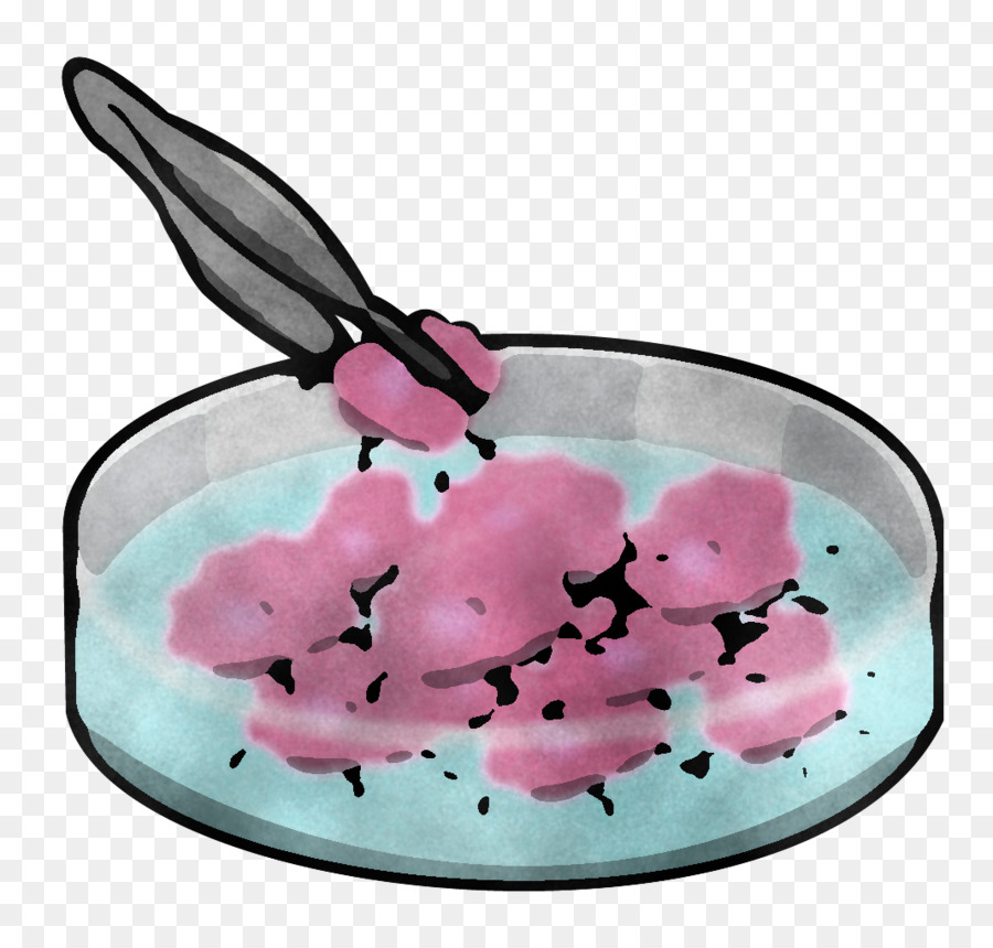 Cor De Rosa，Cartoon PNG