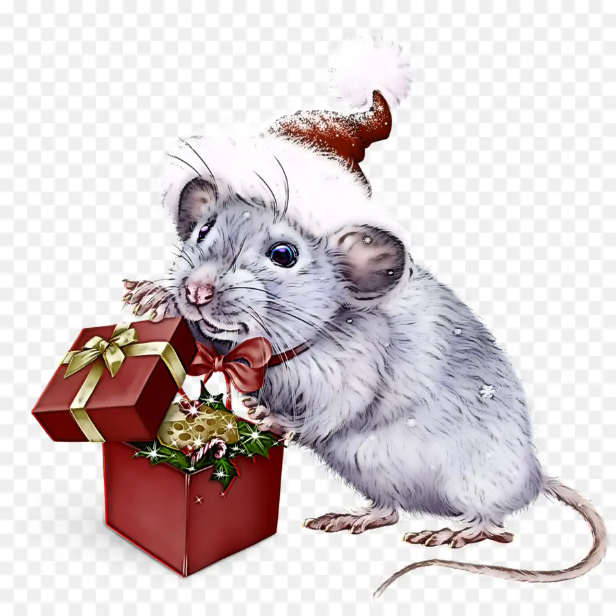 Rat，Mouse PNG