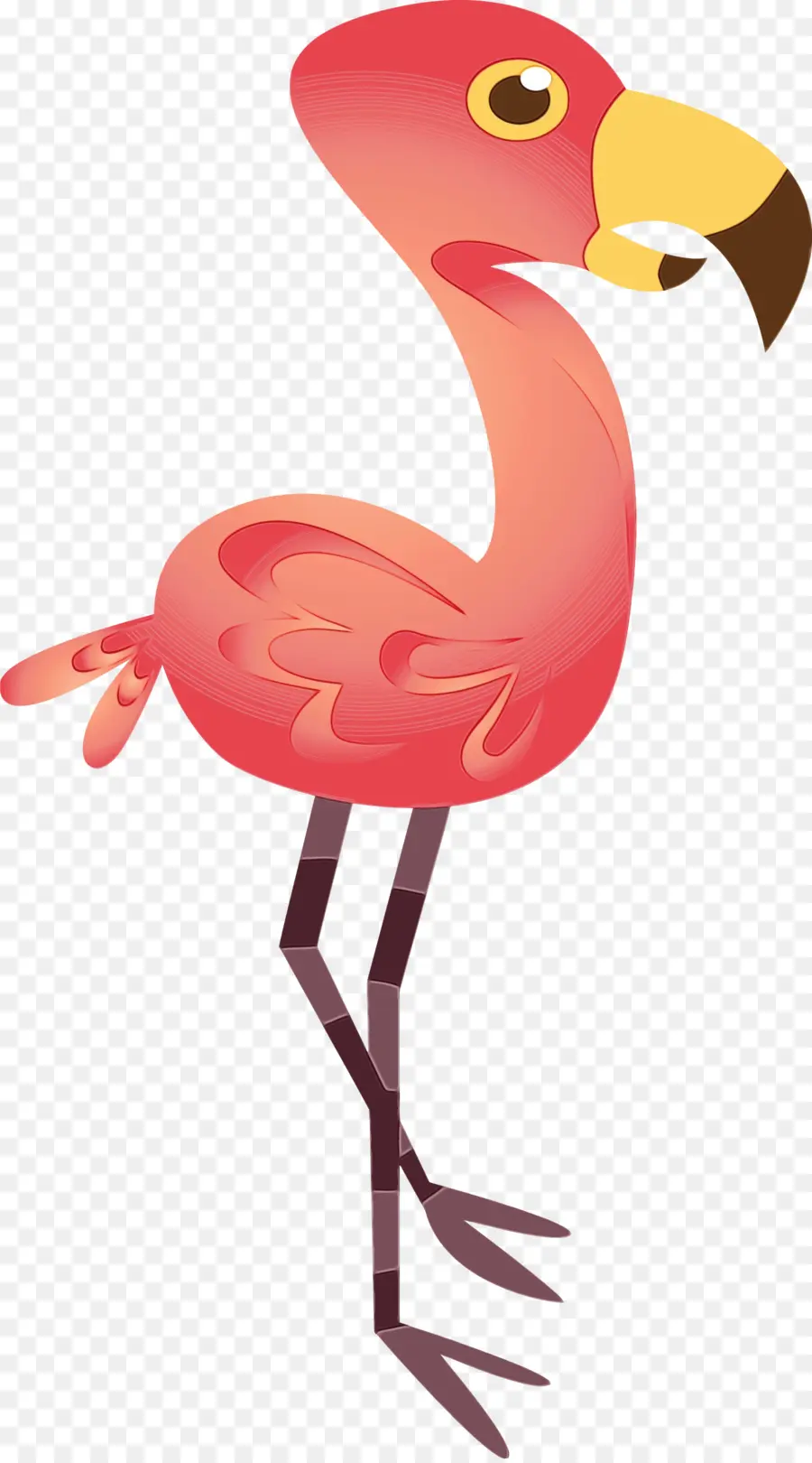 Flamingo，O Flamingo PNG