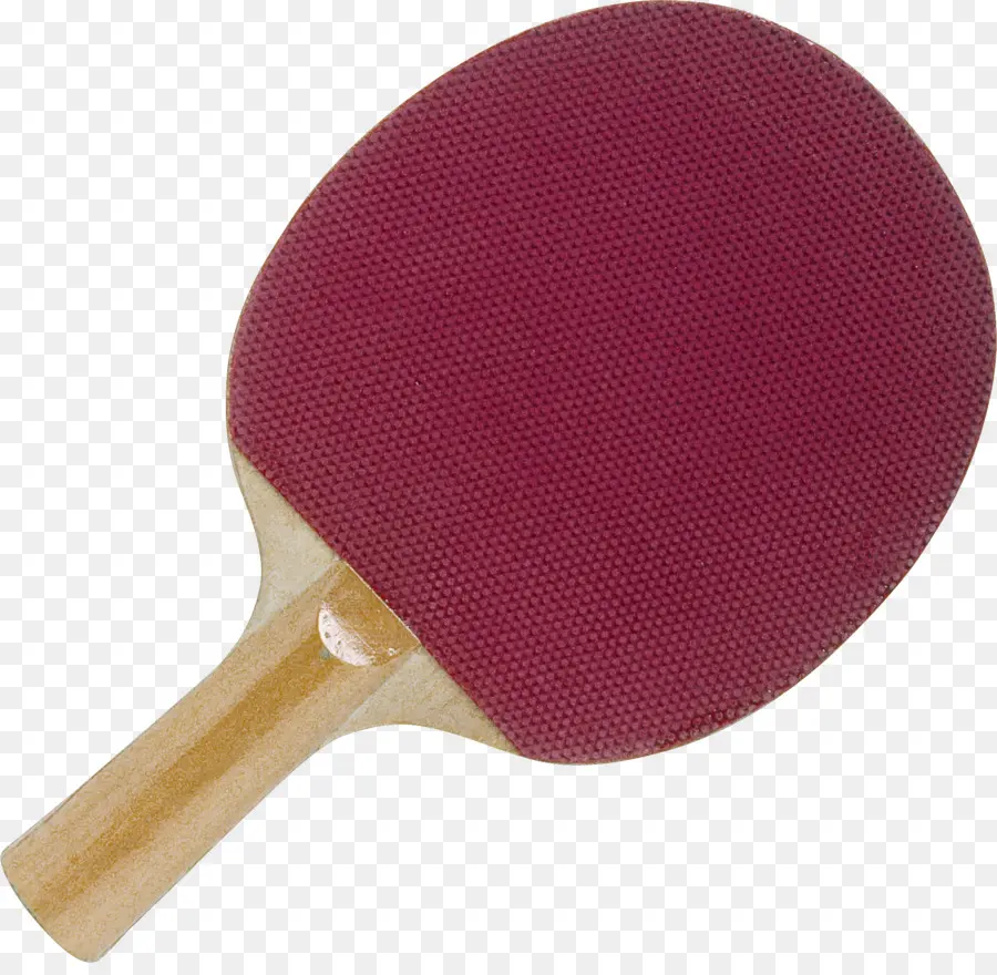 Ping Pong，Raquete De Tênis De Mesa PNG